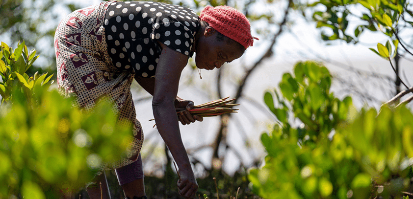 banner-product-happycustomer2