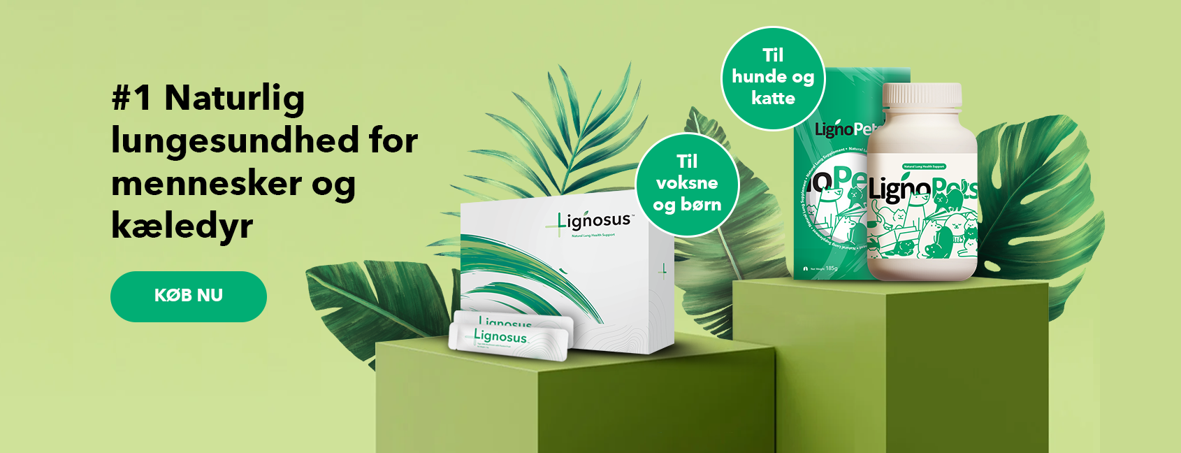 banner-product-presentation