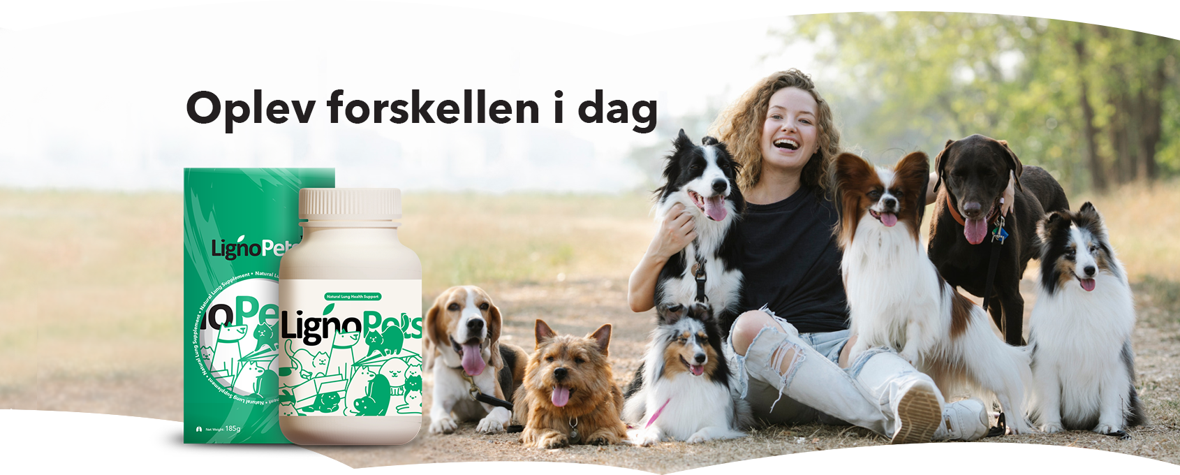 banner-product-presentation