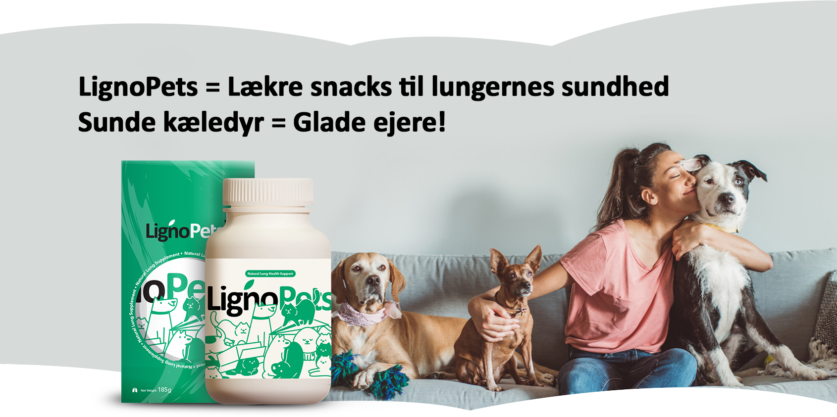 banner-product-presentation