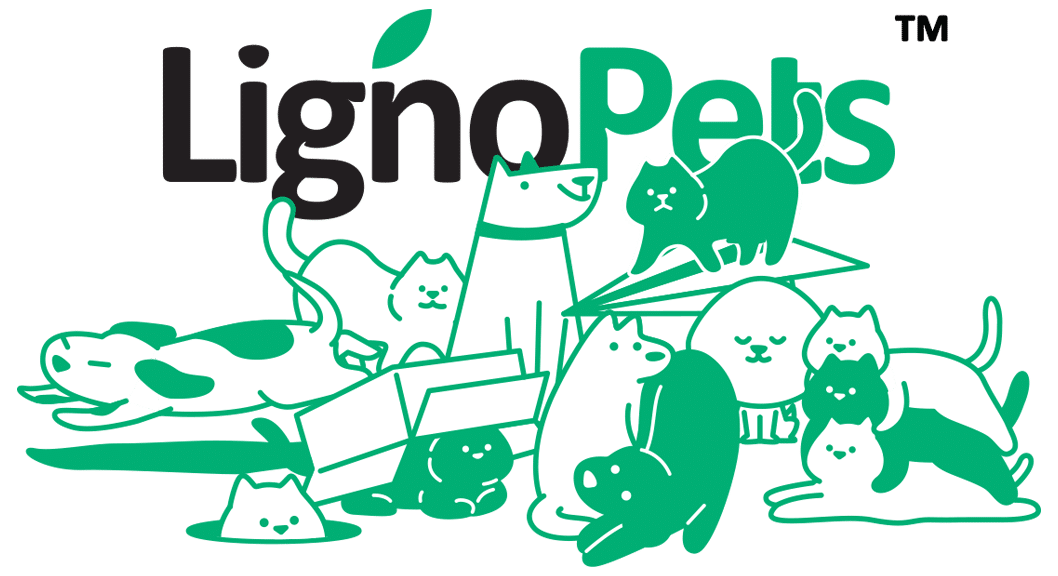 banner-product-presentation