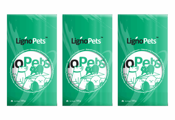 Variation Featured Image